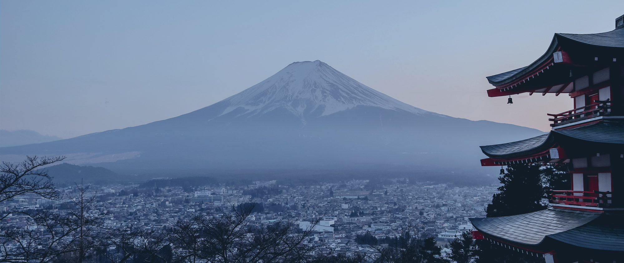 일본학과 김보경 교수홈페이지 메인비주얼