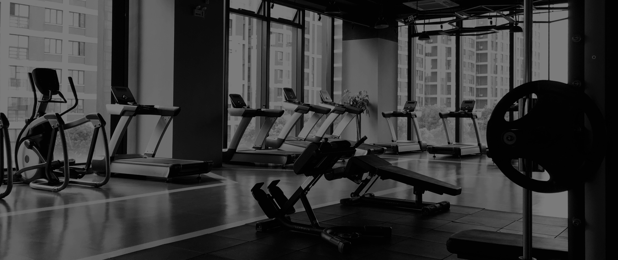 생활체육지도과 박상현 교수홈페이지 메인비주얼2