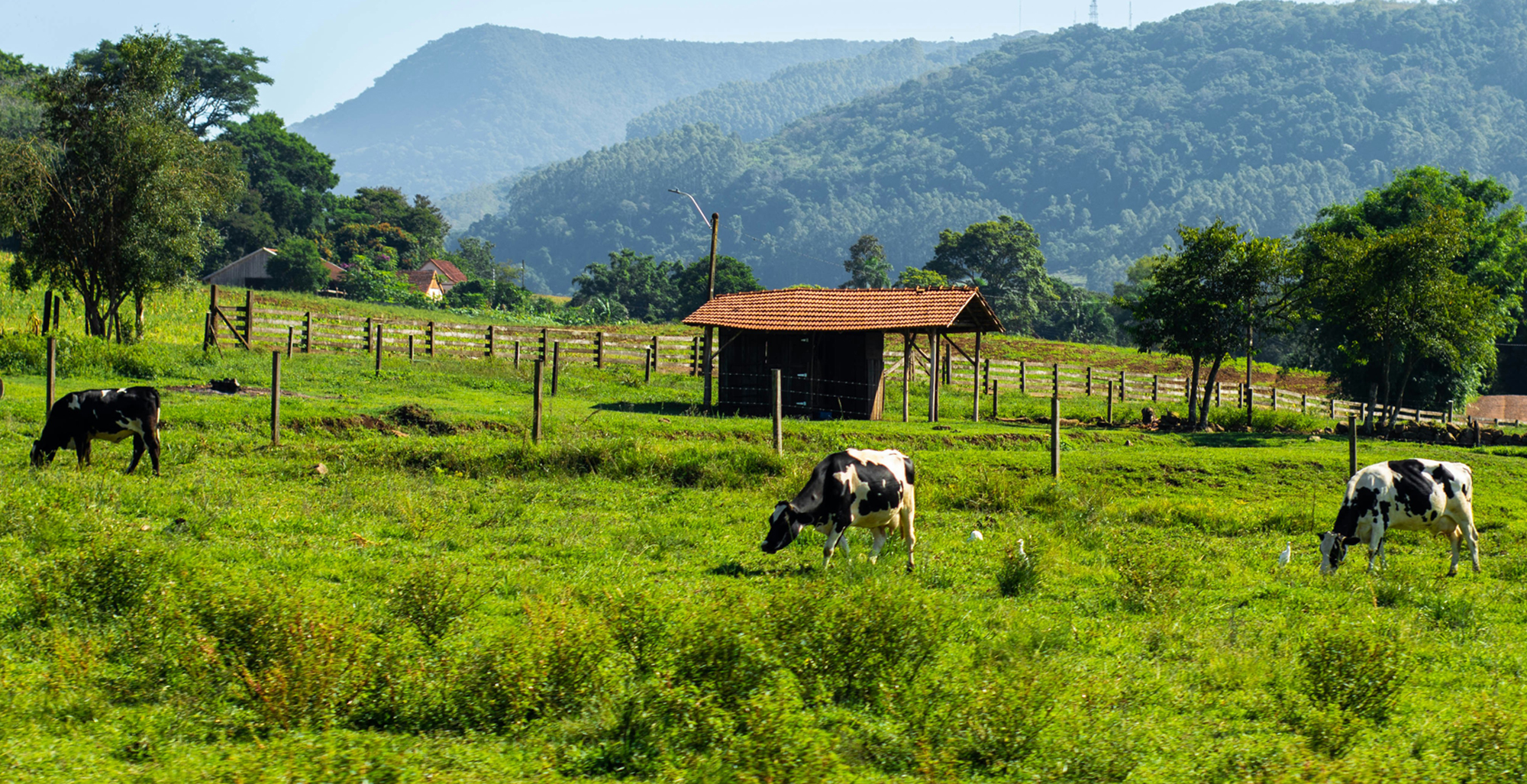 메인비주얼이미지02