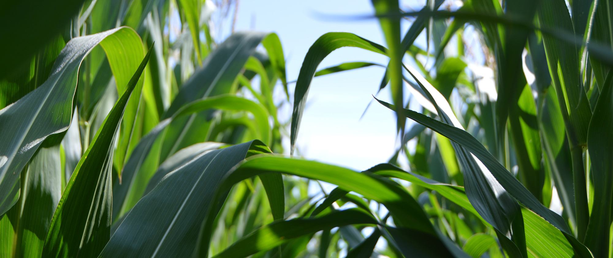 메인비주얼이미지01