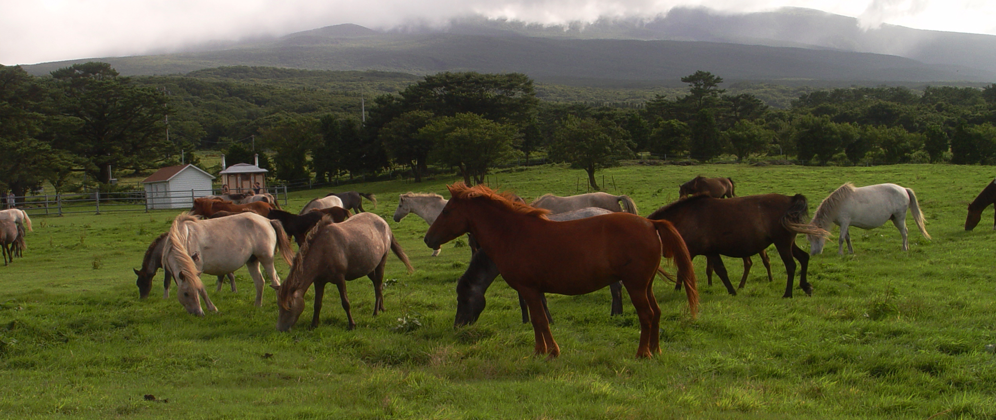 농학과 고한종 교수홈페이지 메인비주얼