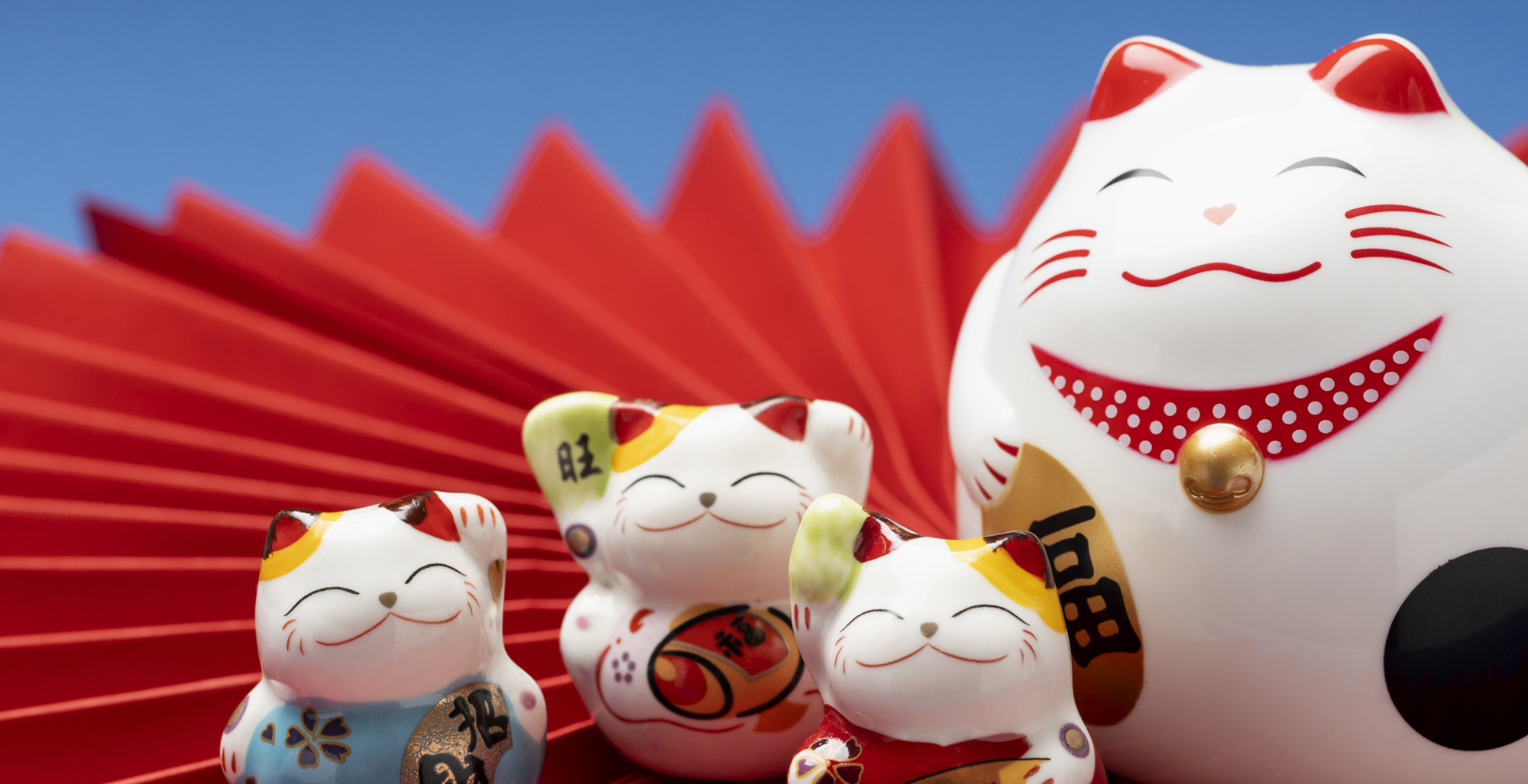 메인비주얼이미지