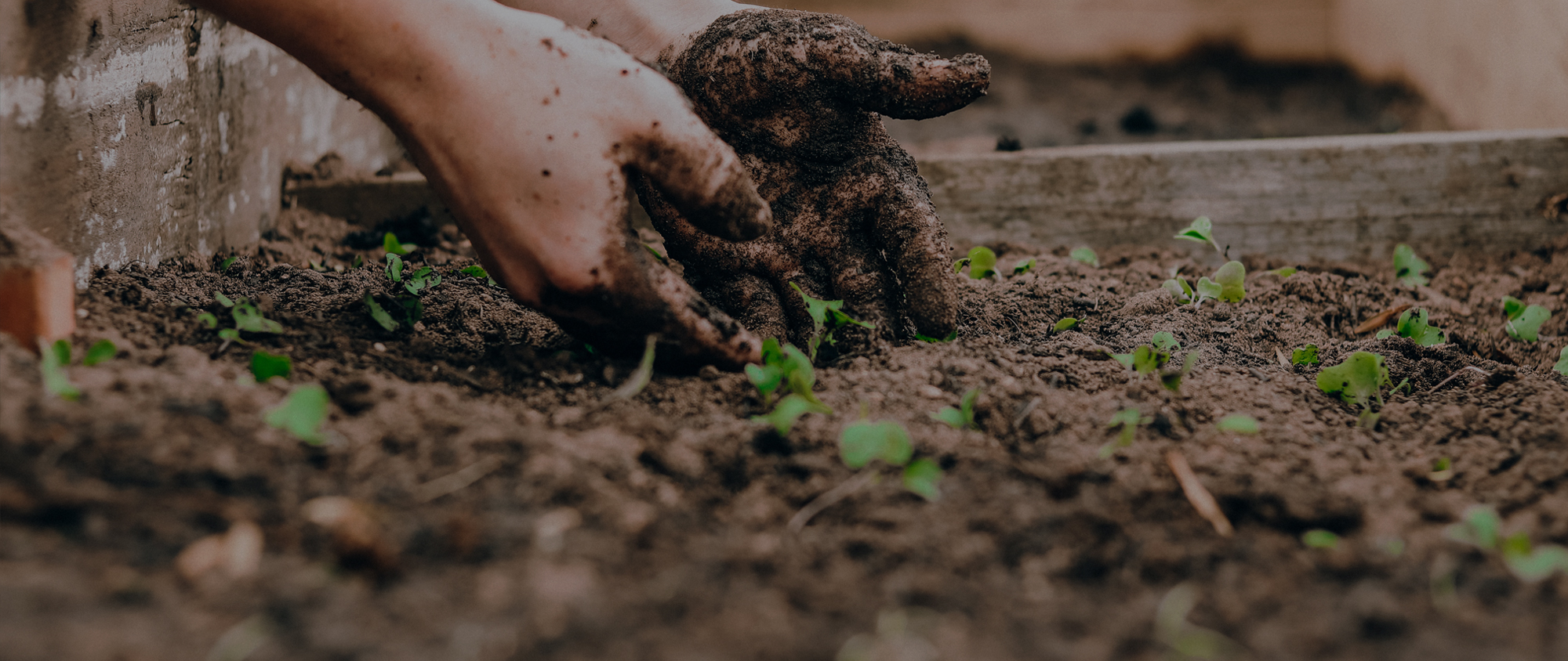 농학과 한상준 교수홈페이지 메인비주얼