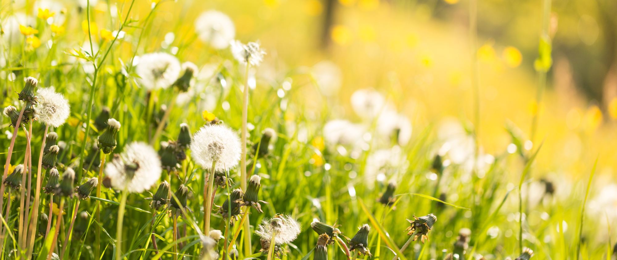 메인비주얼이미지02